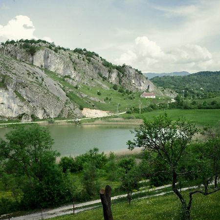 Detached House Milivoje Hotel Poscenje Exterior photo